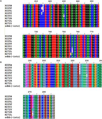 Detection of sdhB Gene Mutations in SDHI-Resistant Isolates of Botrytis cinerea Using High Resolution Melting (HRM) Analysis